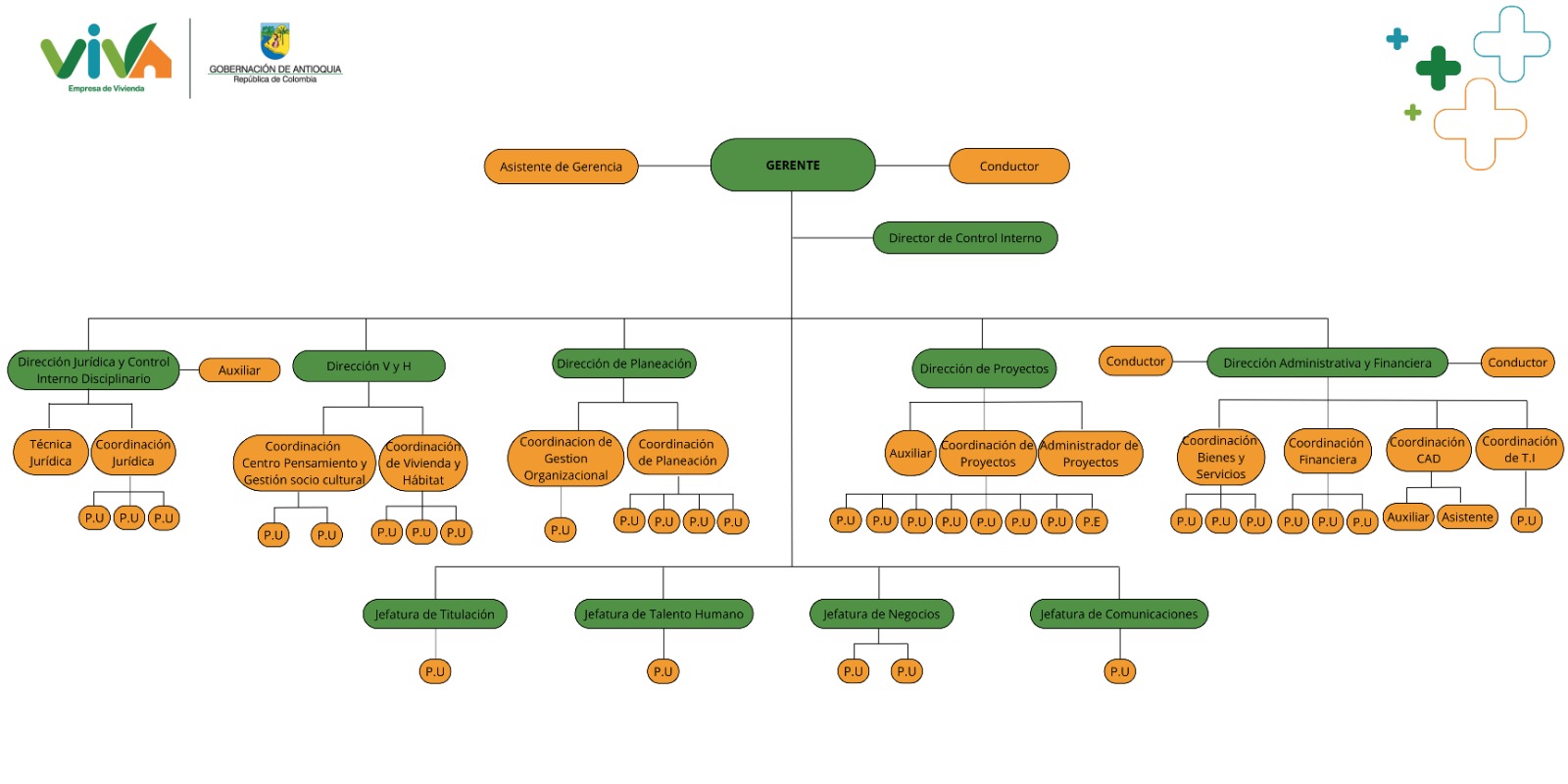 Estructura orgánica de VIVA