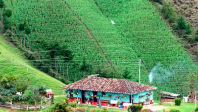 Foto de viva mi casa, donde visualizamos vivienda rural Antioqueña, con proyecto busca dignificar los hogares de los campesinos.