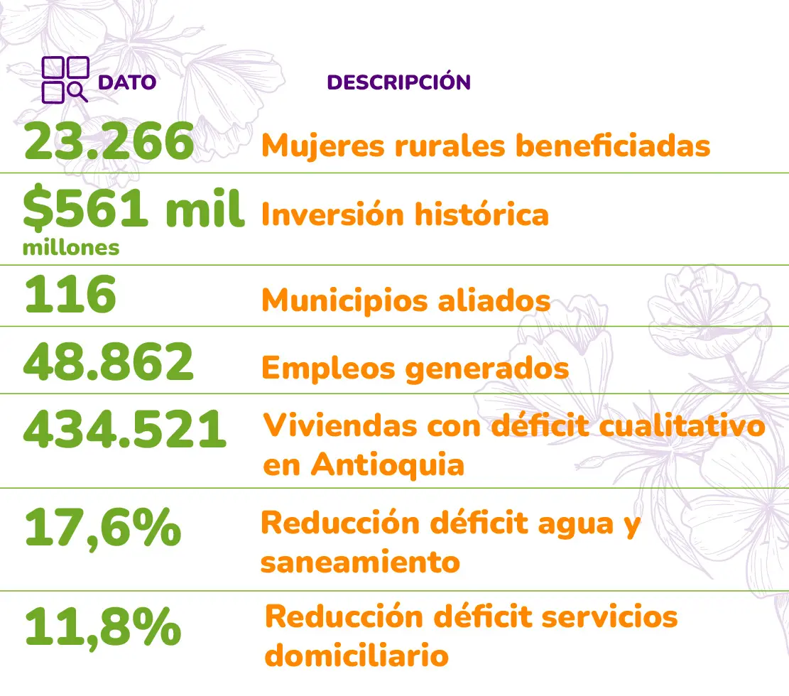 VIVA-mi-casa-mejorada-para-ellas_Cifras-resp
