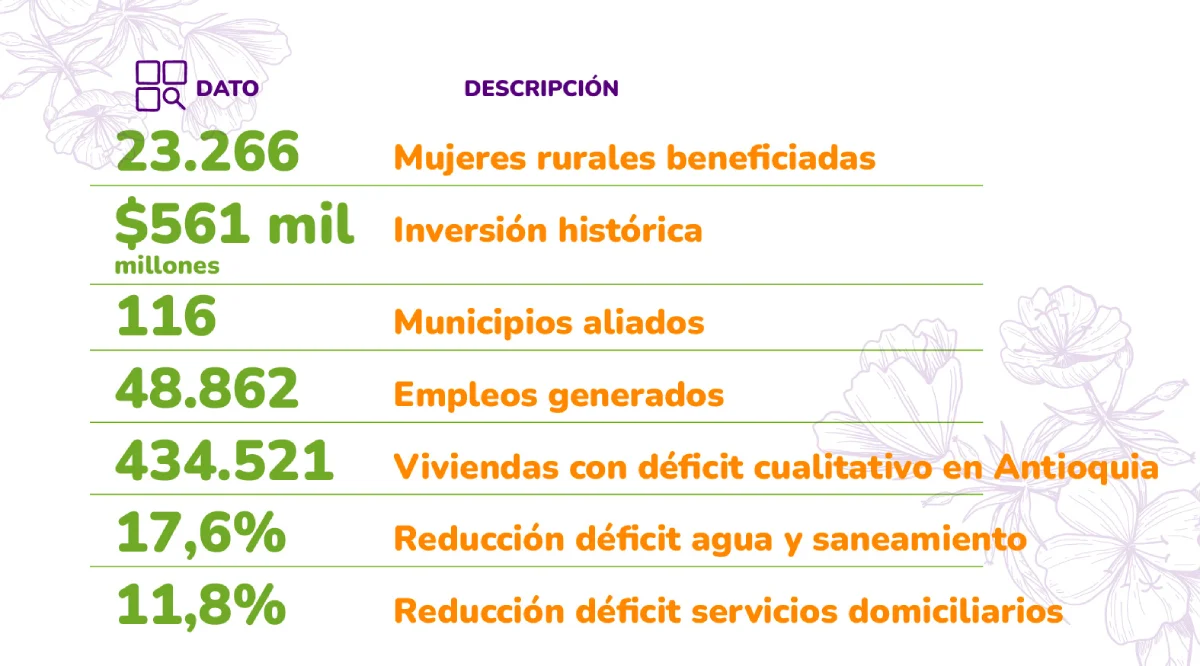 VIVA-mi-casa-mejorada-para-ellas_Cifras